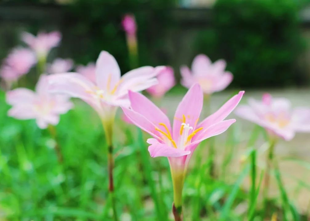 1652084462206740.jpg 16.jpg